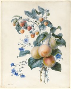 Flowers with Plums and Raspberries on Their Branches